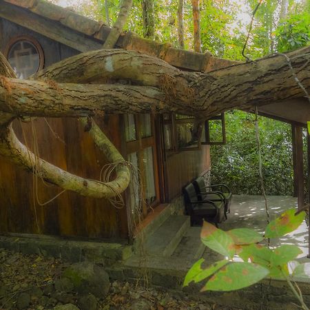 Forest Floor Lodge Каттьен Экстерьер фото