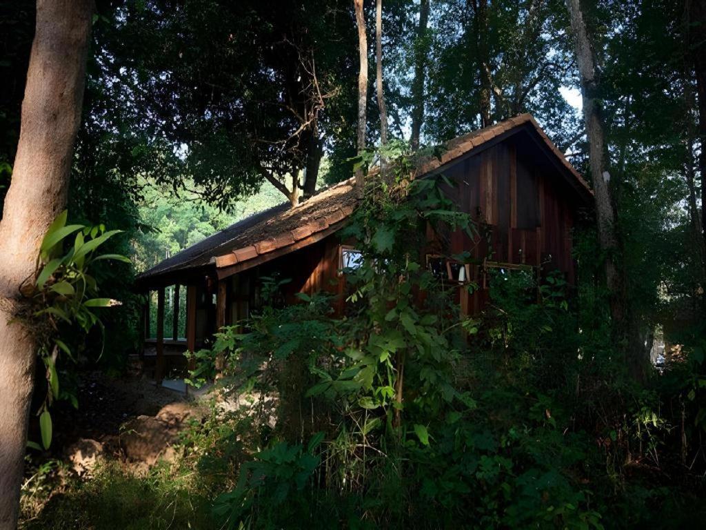 Forest Floor Lodge Каттьен Экстерьер фото