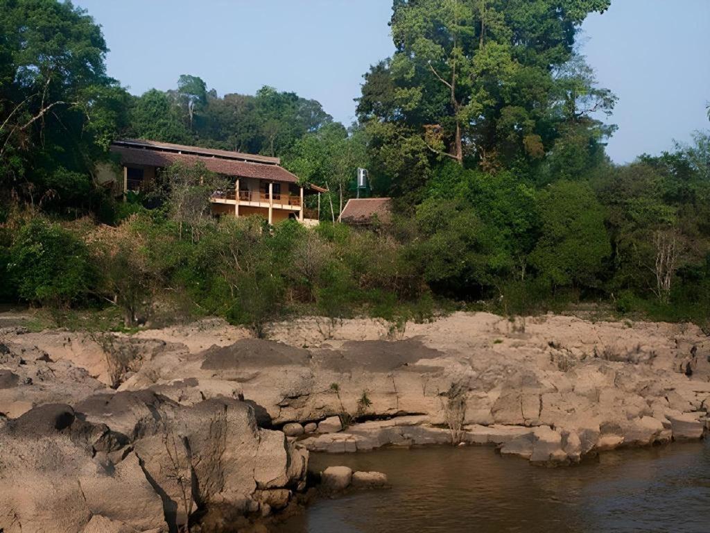 Forest Floor Lodge Каттьен Экстерьер фото
