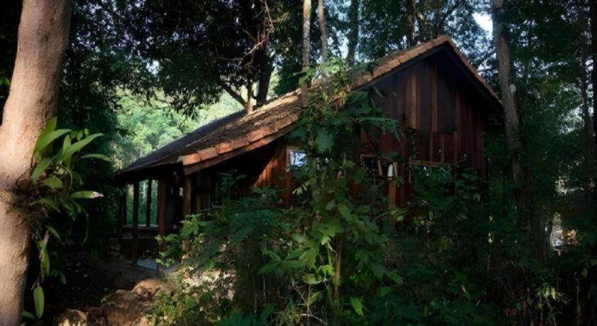 Forest Floor Lodge Каттьен Экстерьер фото