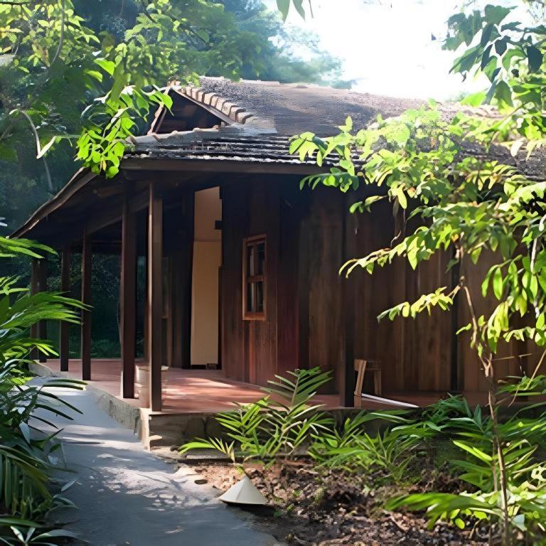 Forest Floor Lodge Каттьен Экстерьер фото