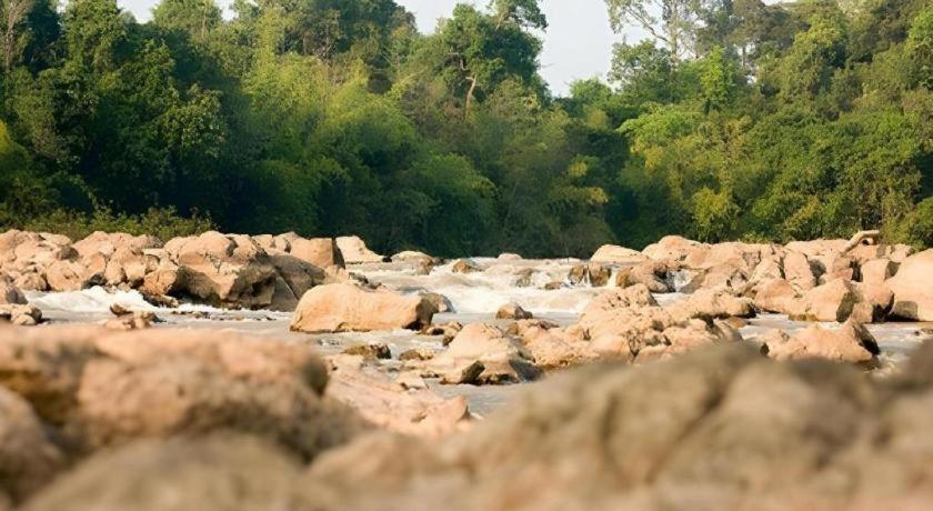 Forest Floor Lodge Каттьен Экстерьер фото